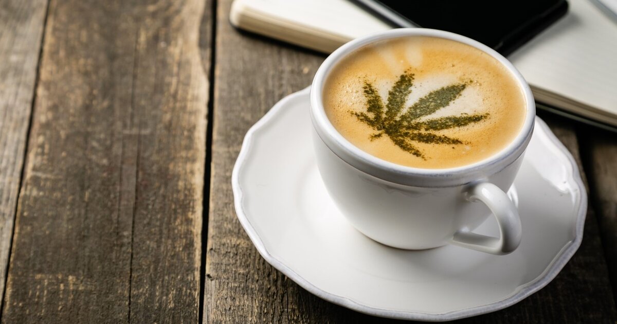 Five Reasons Why 50+ Professionals Should Add Hemp Protein Coffee to Their Daily Routine