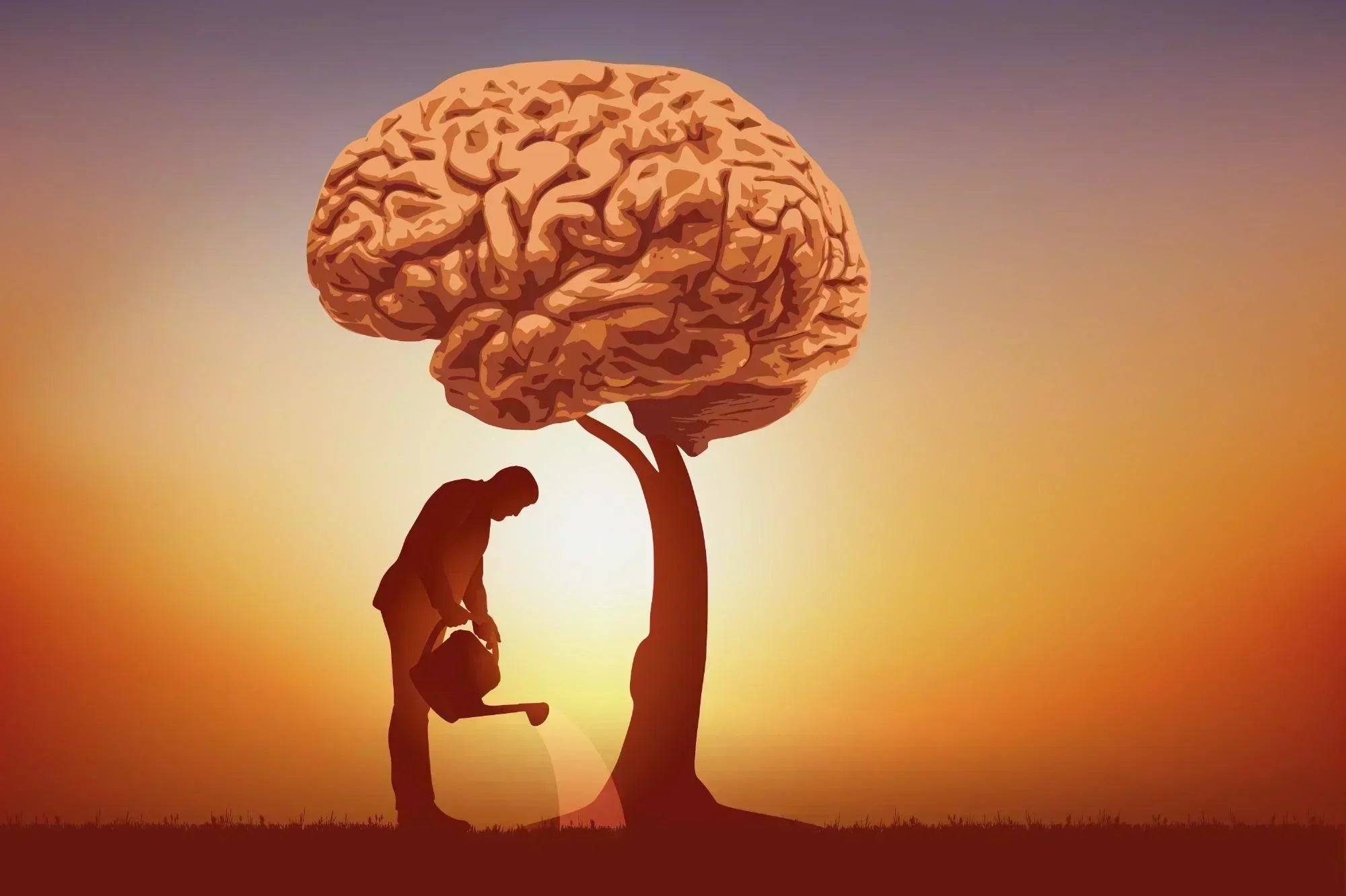 Wisdom: The Hidden Superpower of Professionals Over 50
