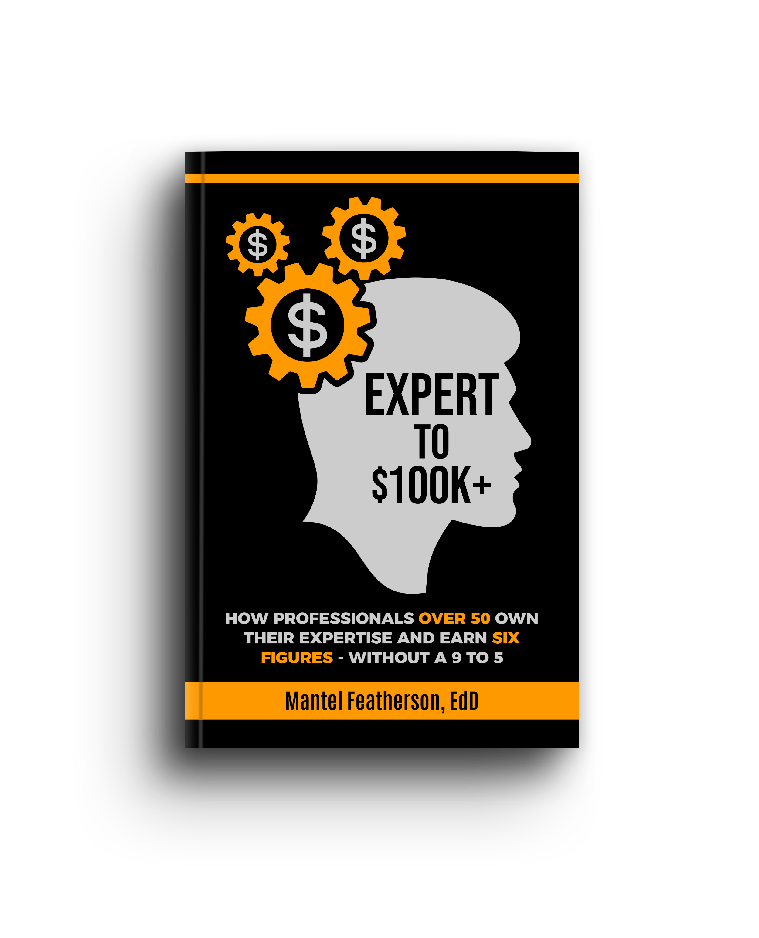 Expert to $100k+ Book